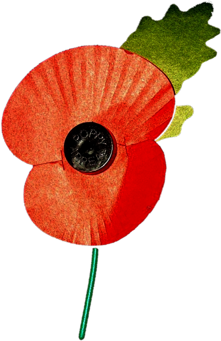 Remembrance Day Parade & Service - Royal British Legion Poppy (482x700)