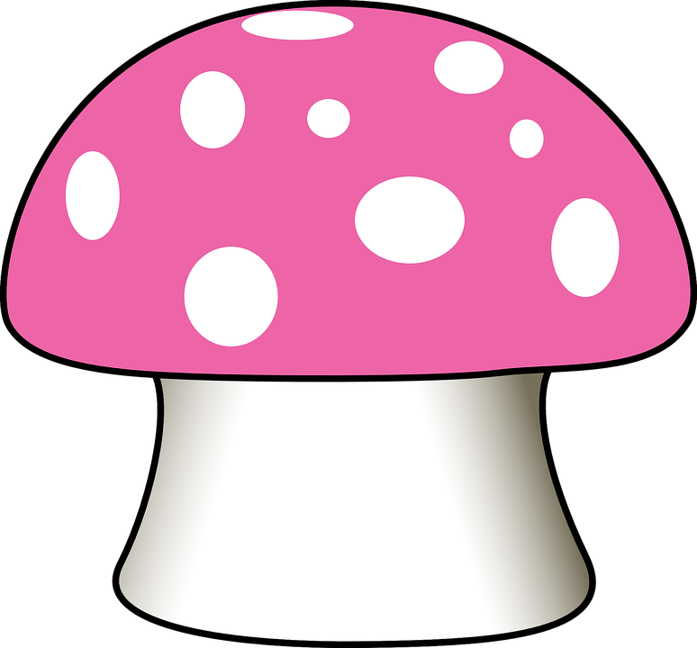 Pink Mushroom Clipart (774x720)