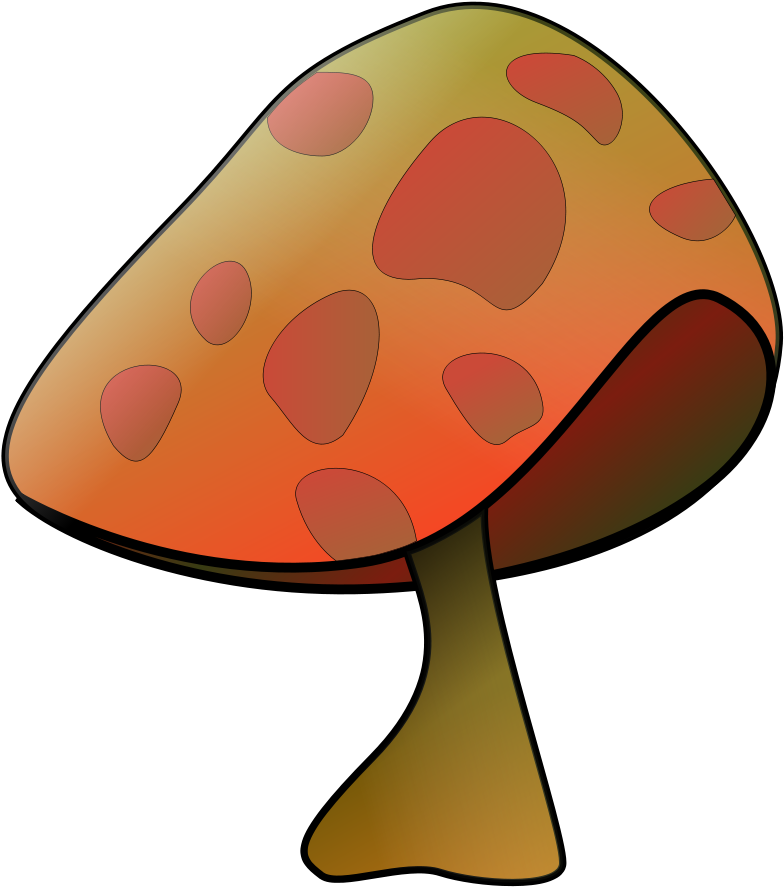 Mushroom Png - Mushroom Clip Art (796x900)
