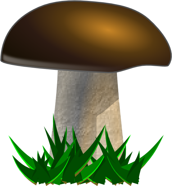 Mushroom Clipart (564x598)