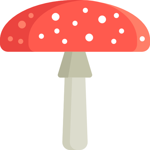 Amanita Muscaria Png Photos - Fly Agaric (512x512)