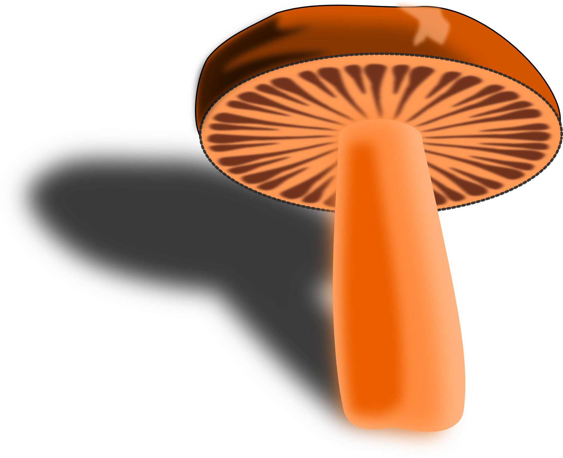 Manitari Mushroom 1969px 913 - Brown (1969x1600)