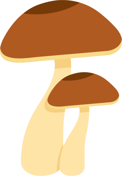 Mushroom Clipart Png 1 - Stock.xchng (404x584)