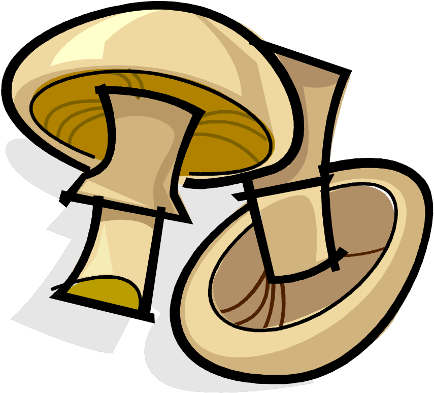 Mushrooms - Flash Card Mushroom (865x784)