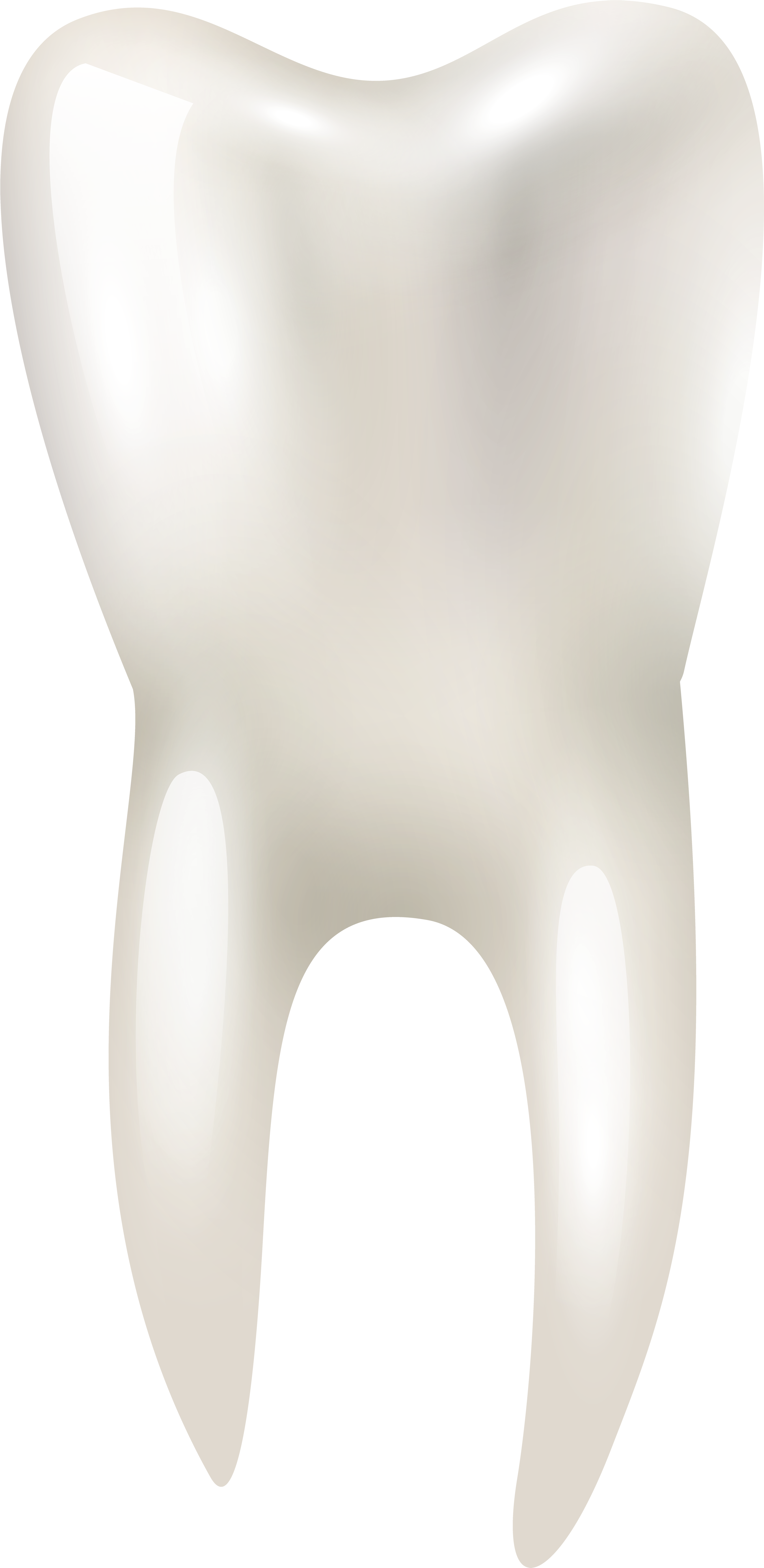 Tooth Png Clip Art - Molar Teeth Png (3490x7000)
