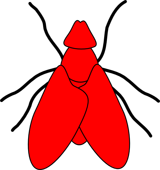Fly Clip Art (564x597)