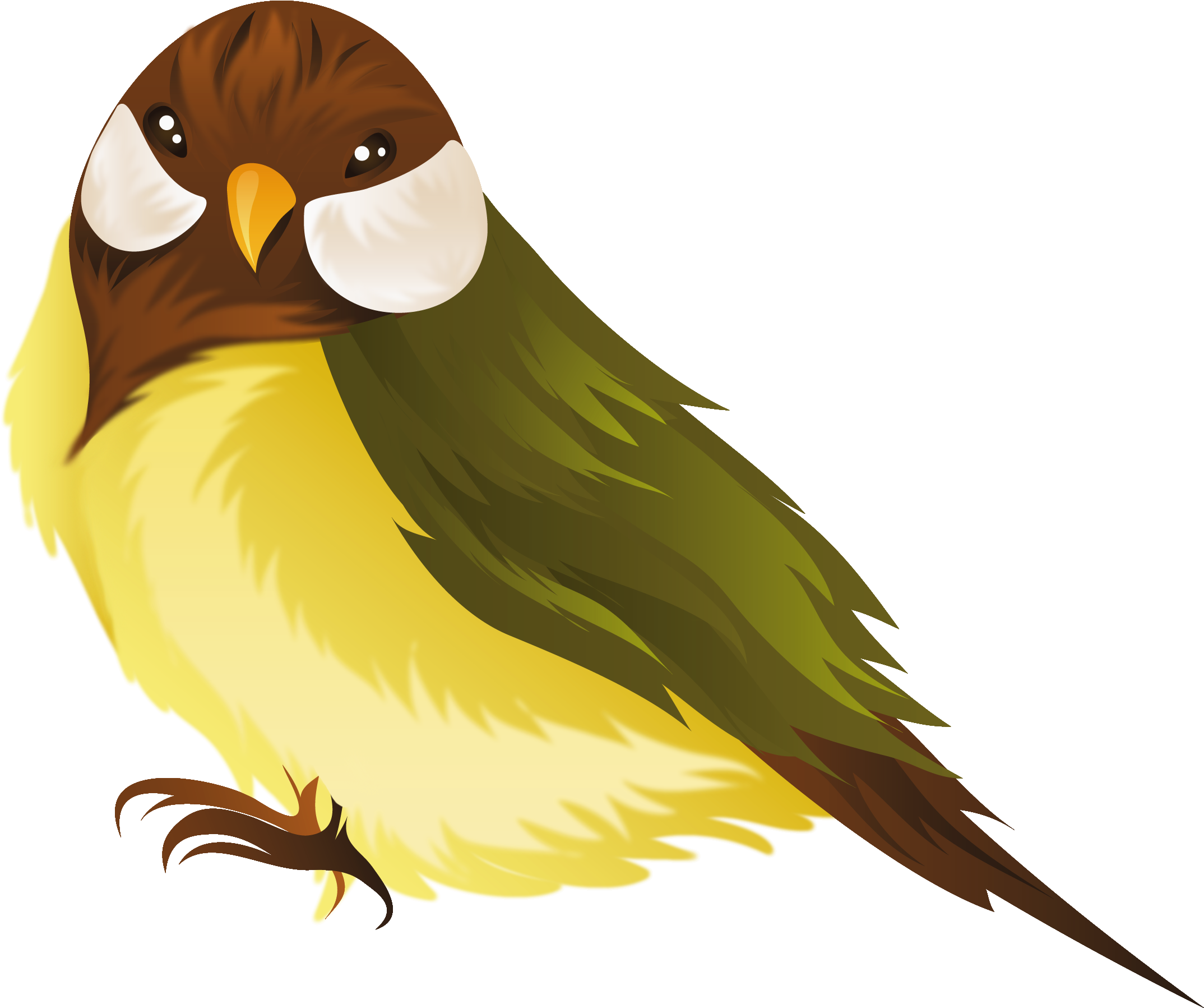 Clip Art Of Bird Picture Medium Size - Clip Art Bird Png (2252x1931)