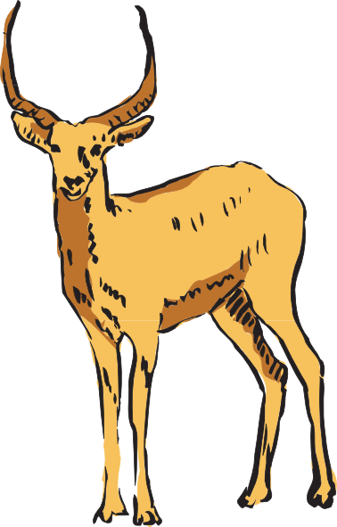 Antelope Clipart Transparent (378x591)