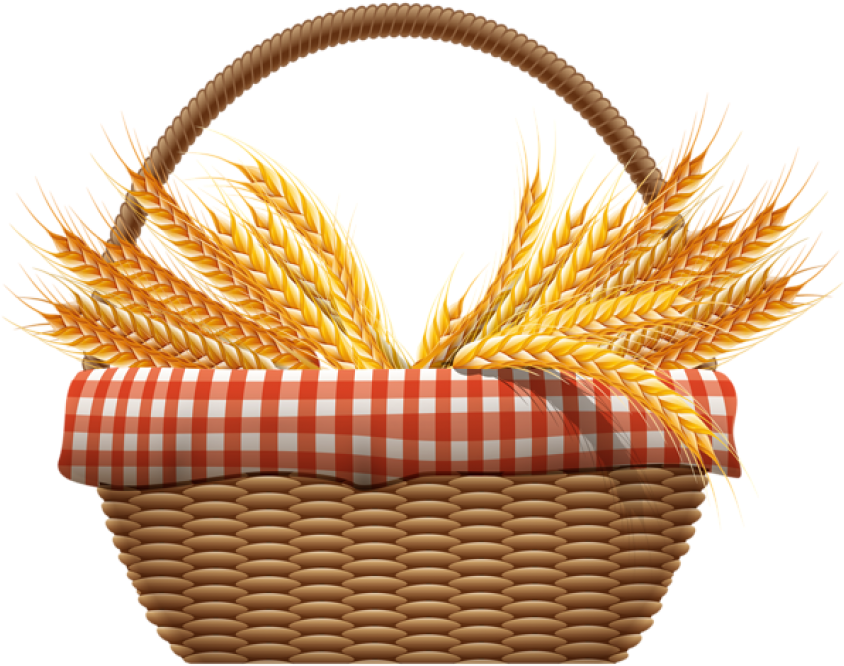 Free Png Wheat Png Images Transparent - Wheat Png (850x675)
