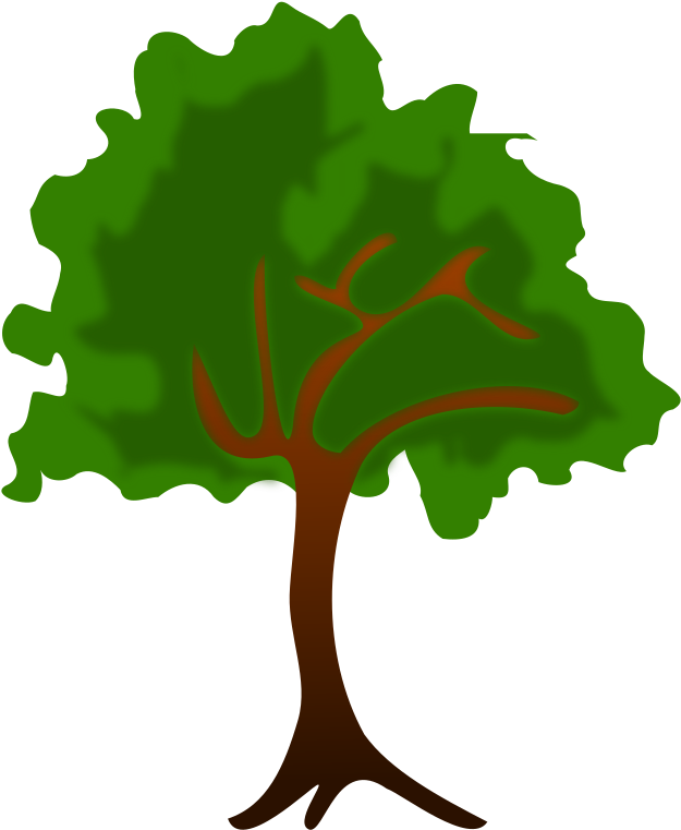 Tree Clip Art Microsoft Clipart - Water Interception Of Trees (800x800)