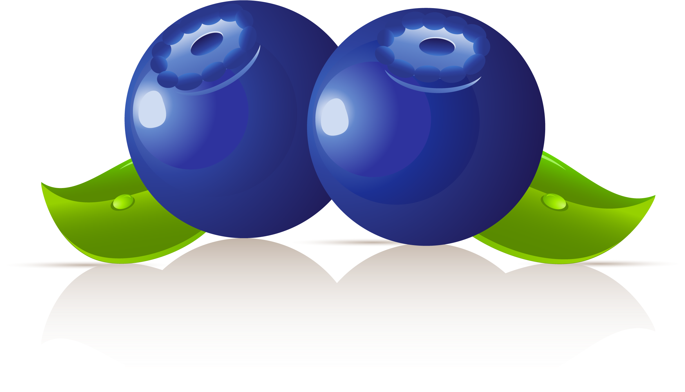 Alle Cliparts Als Zip-datei - European Blueberry (2362x1717)