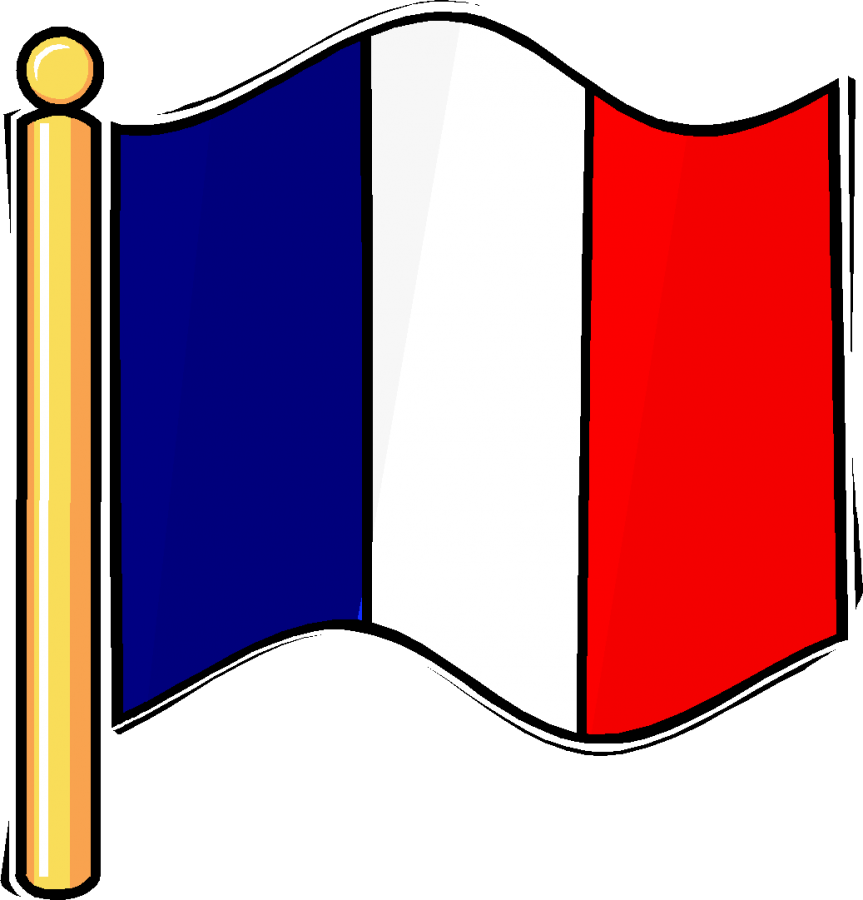 Delf - Clip Art French Flag (863x900)