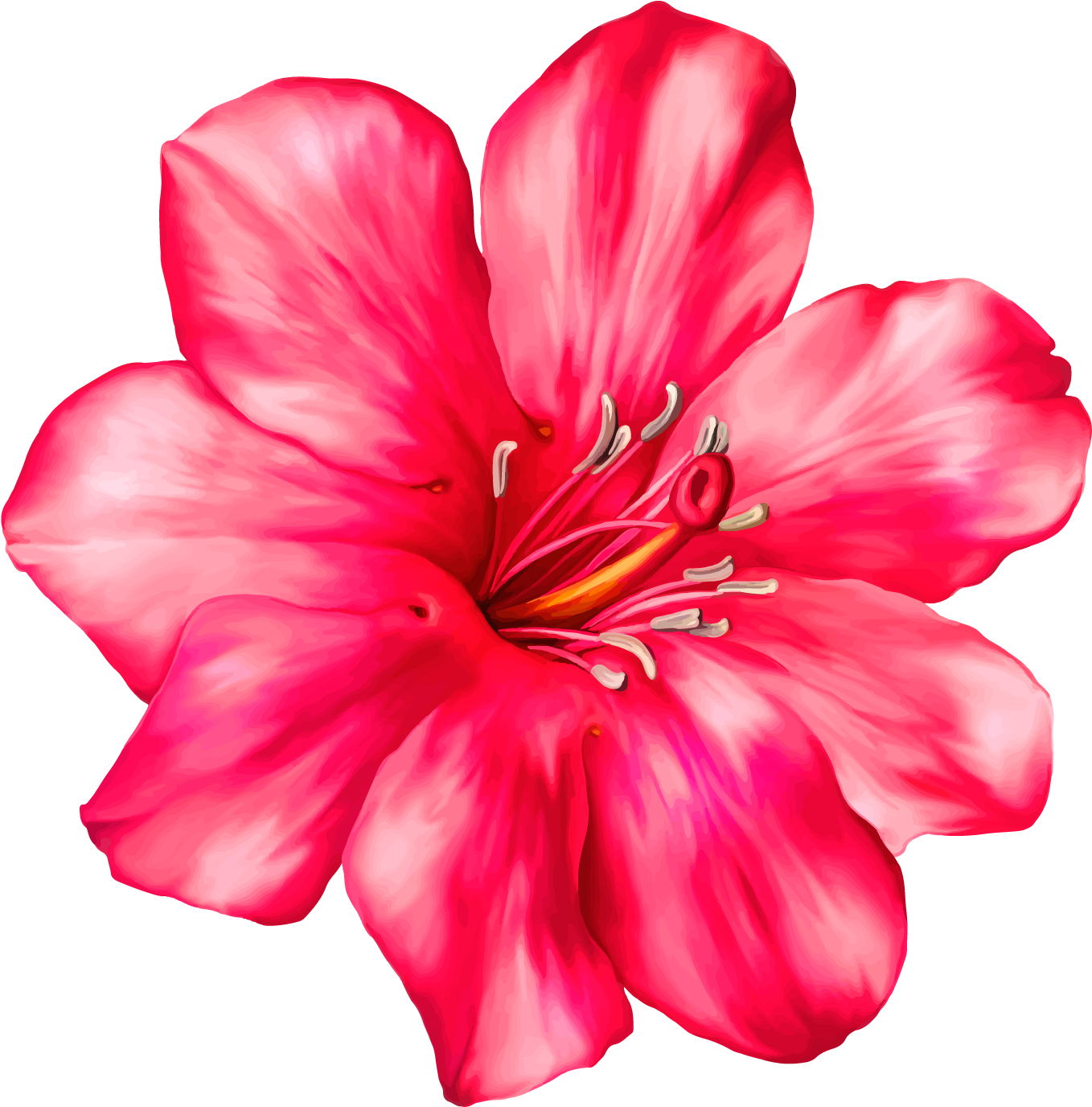 Exotic Pink Flower Png Clipart Picture - Tropical Flower Clip Art (1414x1393)