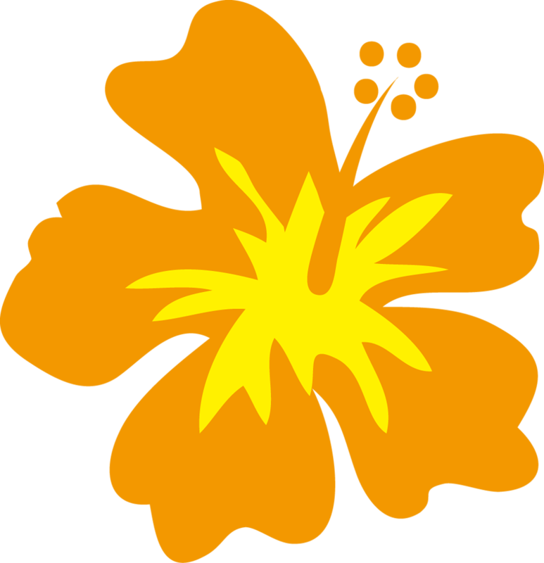 Cg050 25 - Flor Png Festa Havaiana (773x800)