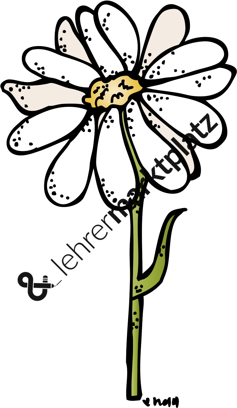 Blumen Alle Hier Gezeigten Bilder Sind In - White (800x1373)