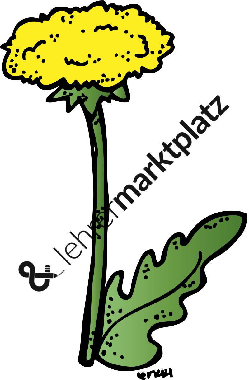 Blumen Alle Hier Gezeigten Bilder Sind In - Novel (800x1221)