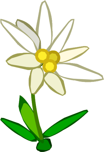 Edelweiss Flower Clip Art Edelweiss Flower Clip Art - Edelweiss Flower Clip Art (500x500)