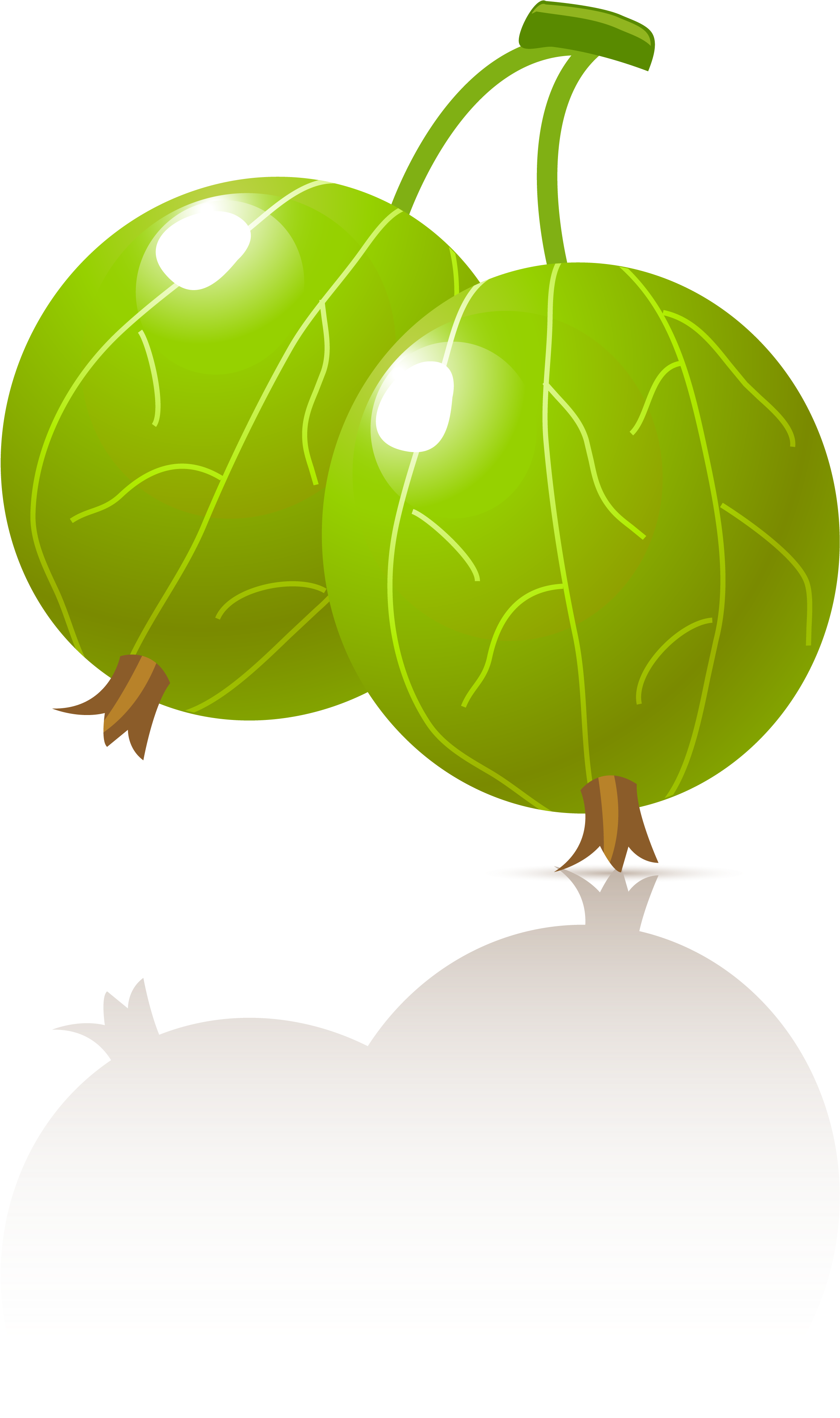 Alle Cliparts Als Zip-datei - Gooseberry (2362x4640)