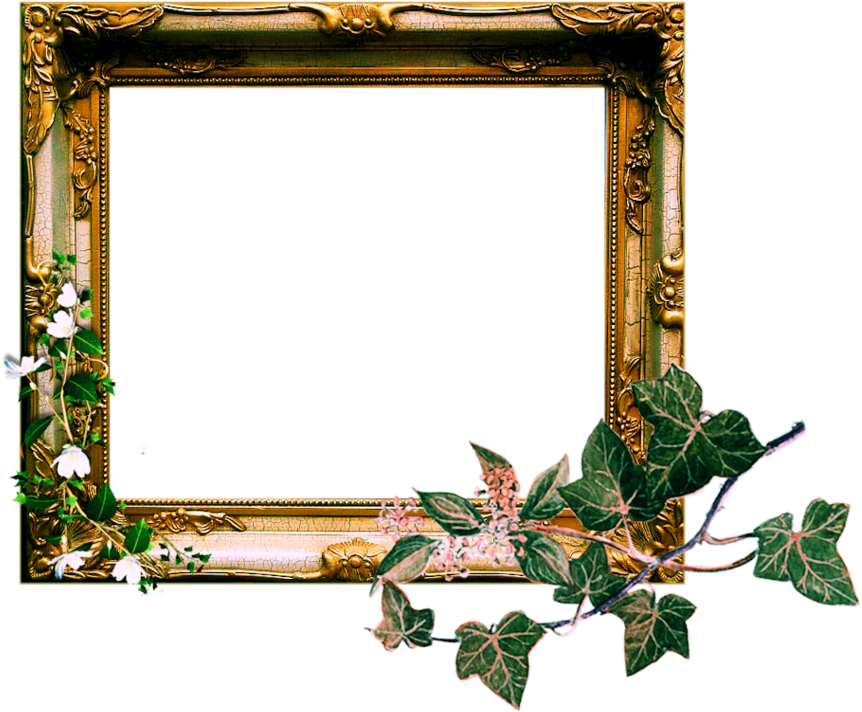 Vintage Ornate Frame Png By Sophia-t - Ivy (900x744)