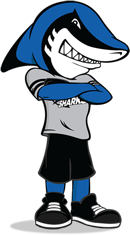 Pin College Clipart - Cartoon (287x496)