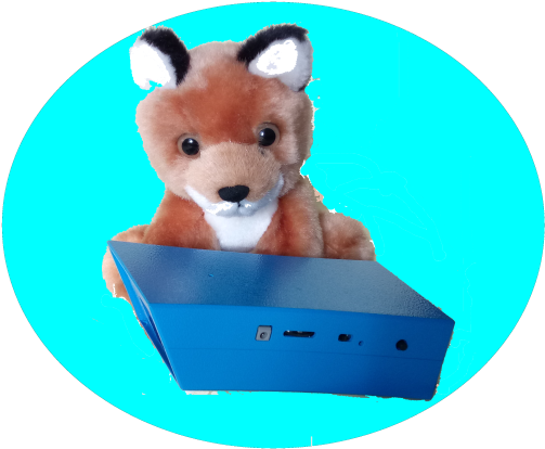 Visual Impairment (512x417)