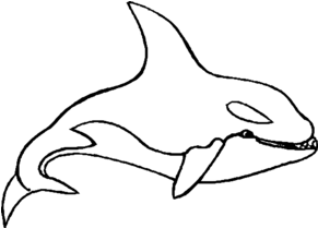 Wunderbar Killerwal Malvorlagen Zum Ausdrucken Zeitgenössisch - Killer Whale Coloring Pages (290x420)