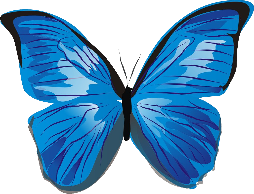 Butterfly Images, Blue Butterfly, Clip Art Free, Free - Blue Butterfly Clipart Png (1022x781)