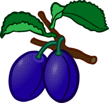 Education Fruit Plum School Teaching Educa - Clip Art Of Plum (359x340)