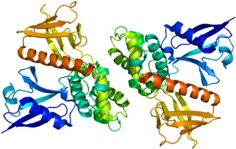 Available Structures - Merlin Protein (500x325)