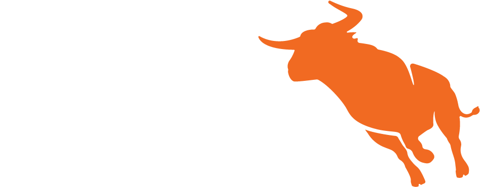 Press Kit - Bullhorn Logo (995x406)