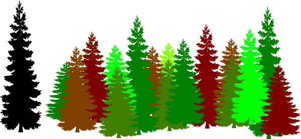 Forest Trees Clipart - Call Of The Wild (600x277)