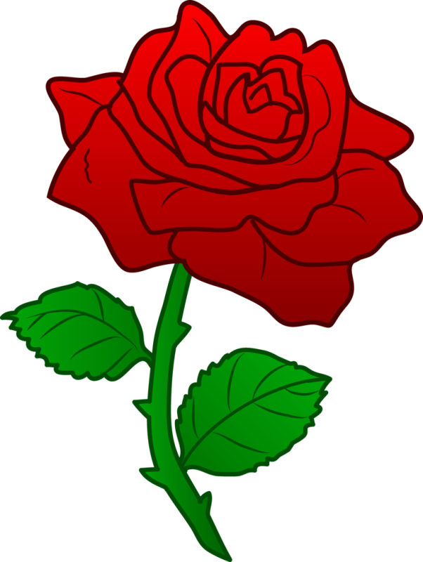 Single Red Rose Clip Art - Single Red Rose Clip Art (602x800)