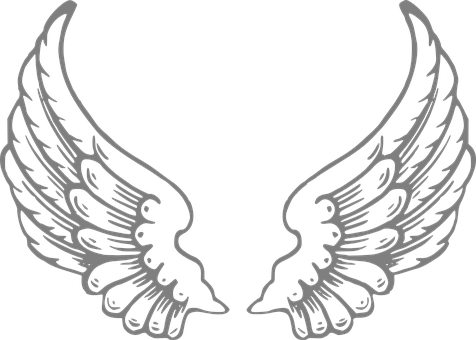 Flügel Engel Federn Fliegen Engel Engel En - Wings Clipart Black And White (476x340)