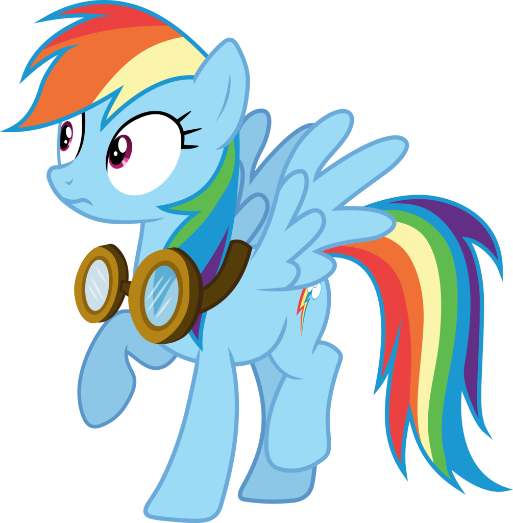 View Collection - Rainbow Dash (1005x1024)