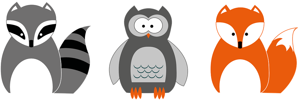 Waschbär Eule Fuchs Applikation Waldtiere - Fox And Owl Cartoon (960x480)