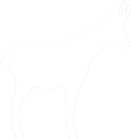 Organisation Und Begleitung Einer Individuellen Filmproduktion - Horse (500x529)