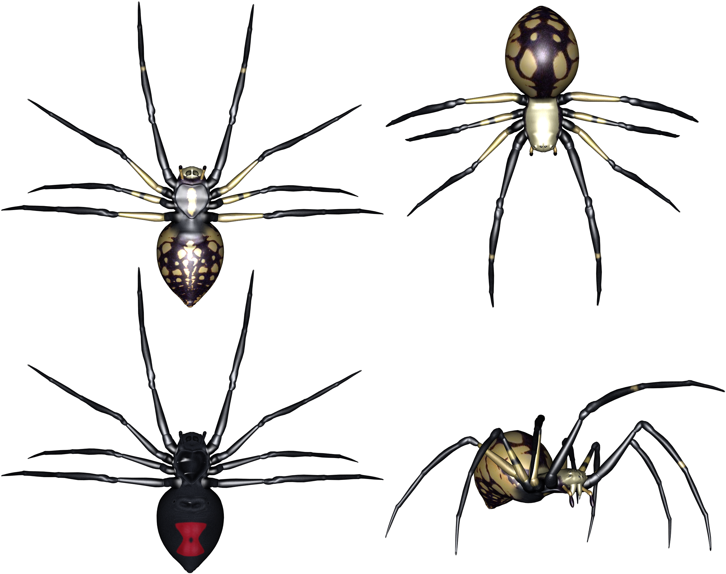 Bug Clipart, Suggestions For Bug Clipart, Download - Portable Network Graphics (2530x2045)