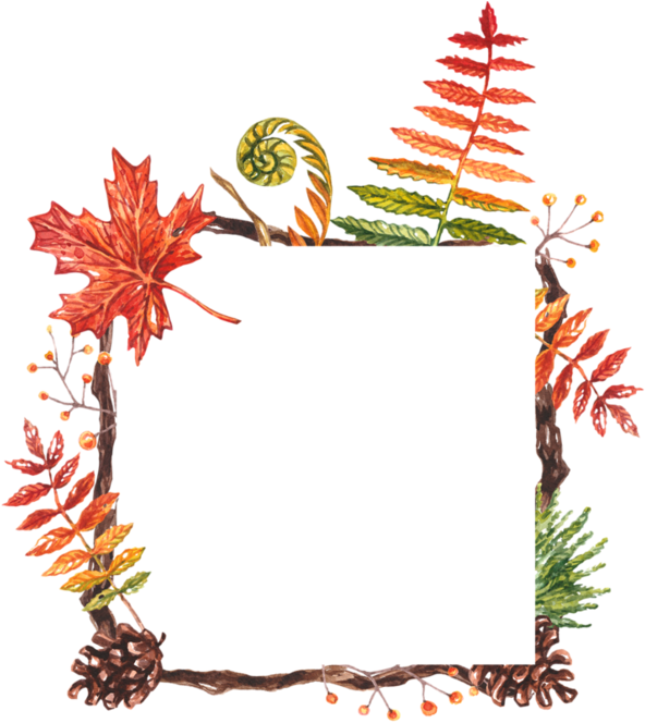 Portable Network Graphics (600x663)