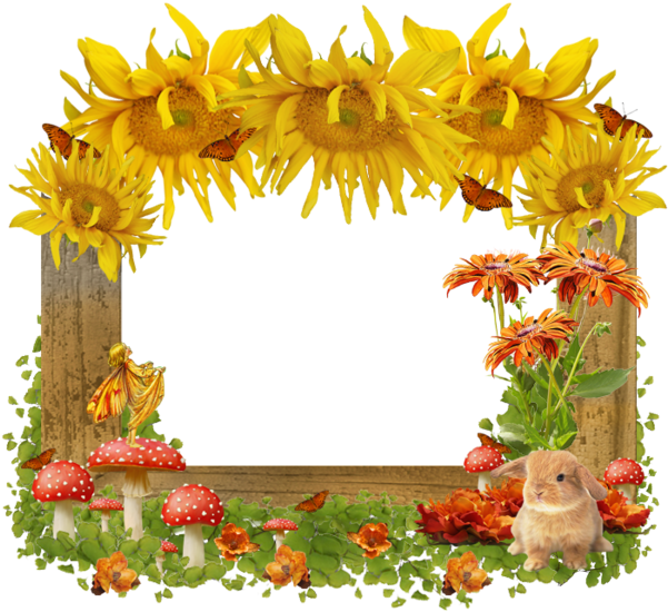 Portable Network Graphics (600x600)