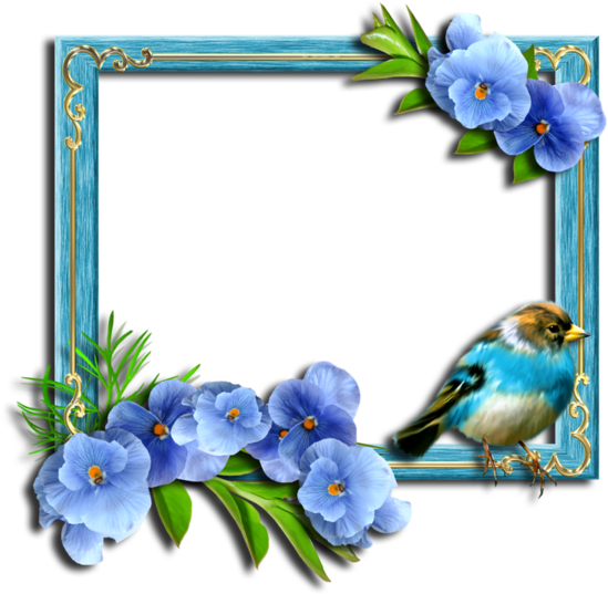 Picture Frame (600x600)