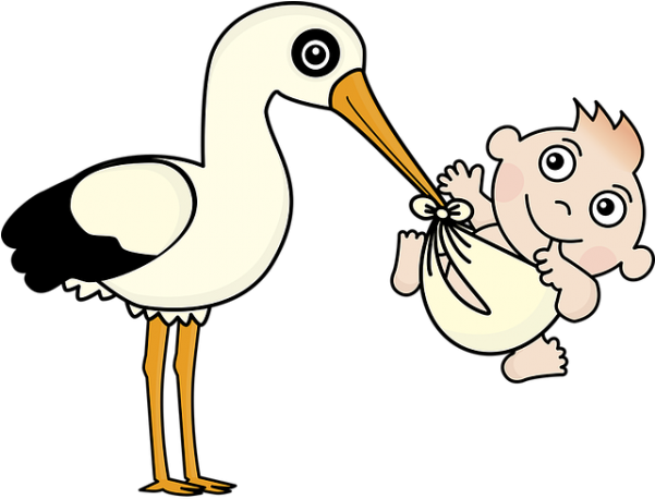 Klapperstorch Mit Baby Im Schnabel - Nacimiento Png (600x485)