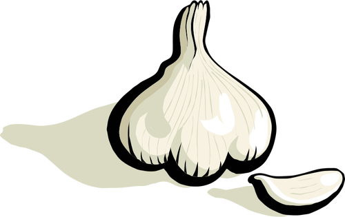 Knoblauch Clipart - Clipart Garlic (500x315)