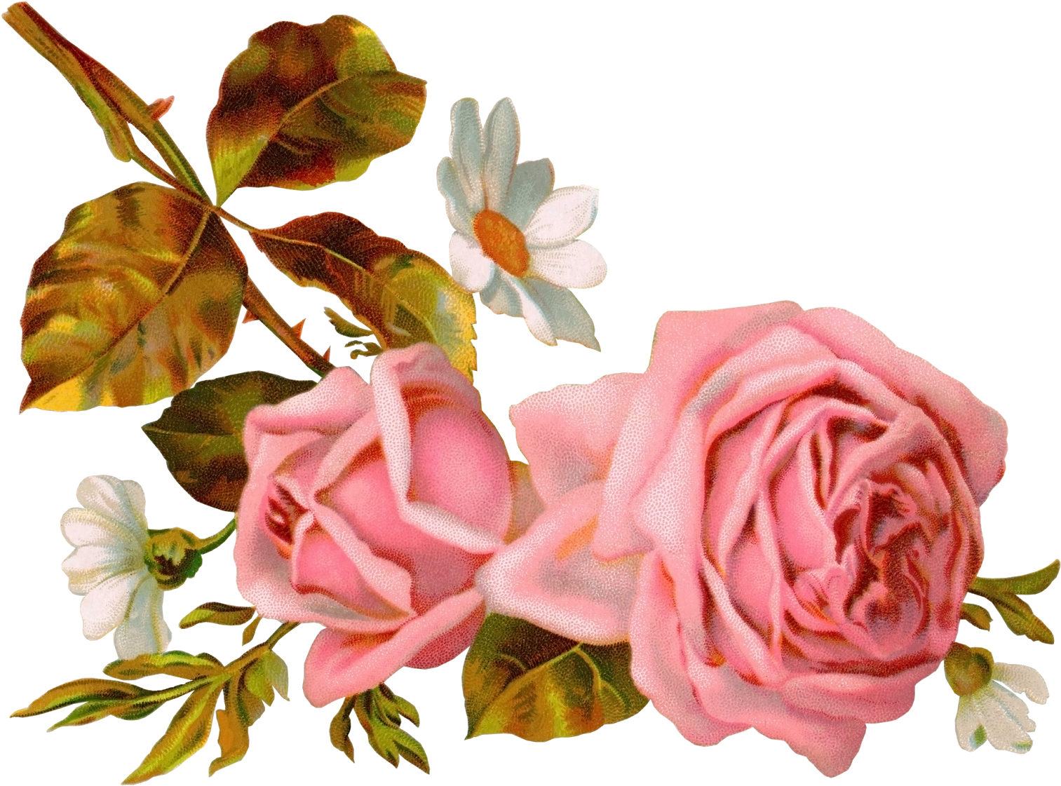 Png Клипарт "vintage Flowers" - Png Клипарт "vintage Flowers" (1600x1230)