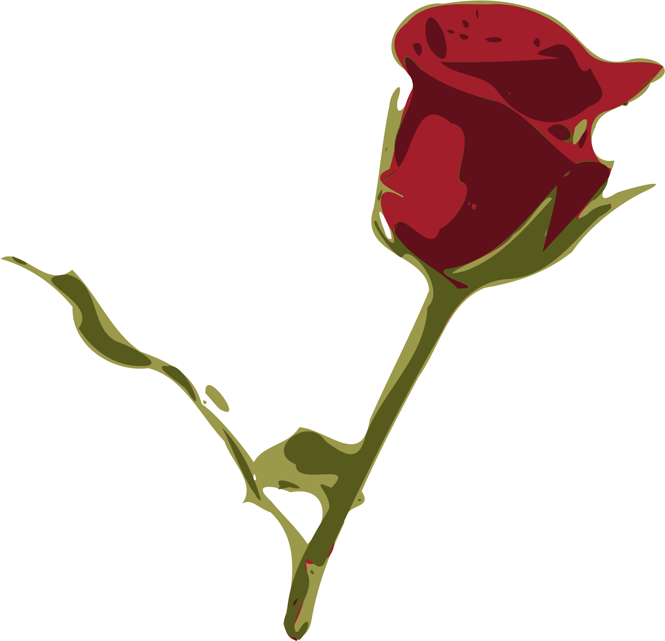 Get Notified Of Exclusive Freebies - Rosa Png (2400x2316)