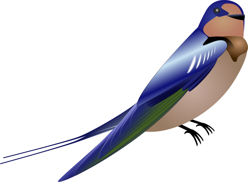 Get Notified Of Exclusive Freebies - Barn Swallow Eat. Sleep. Bird. Mousepad (800x586)