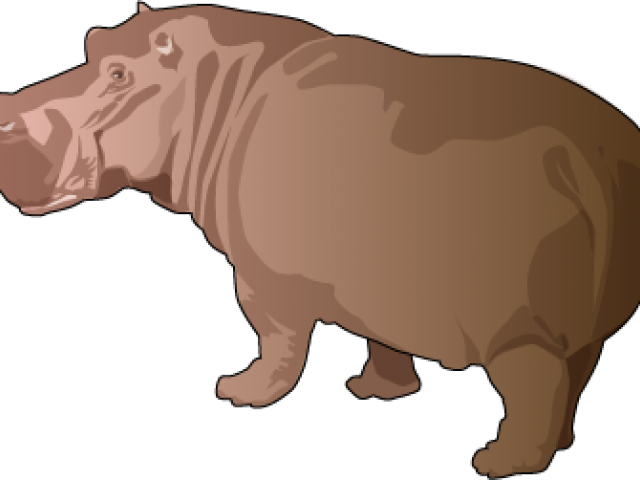 Hippopotamus (640x480)