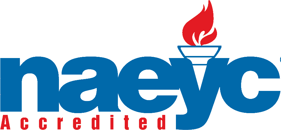 Naeyc Accredited Childcare Program - Naeyc Accreditation (990x450)