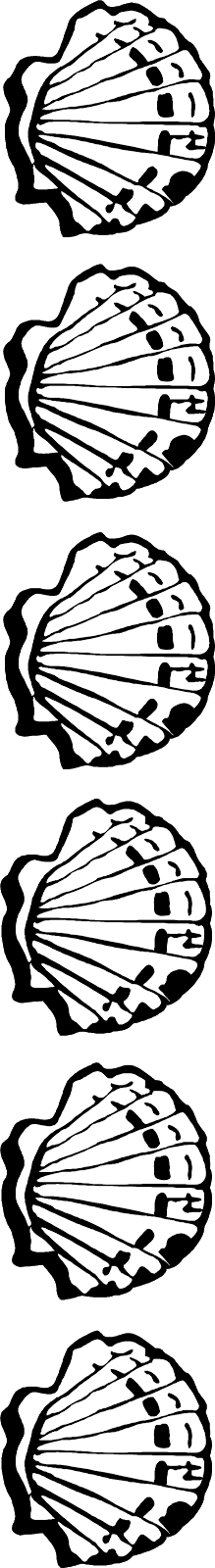 Shell Transparent Border Png Free Stock - Seashell Border Black And White (219x1600)