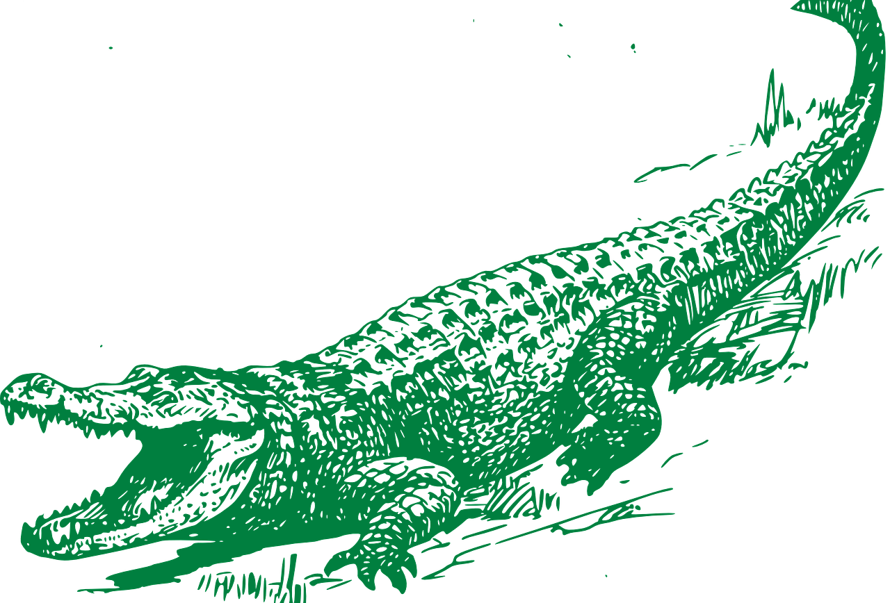 Clip Art With Transparent Background - Black And White Alligator (1280x868)