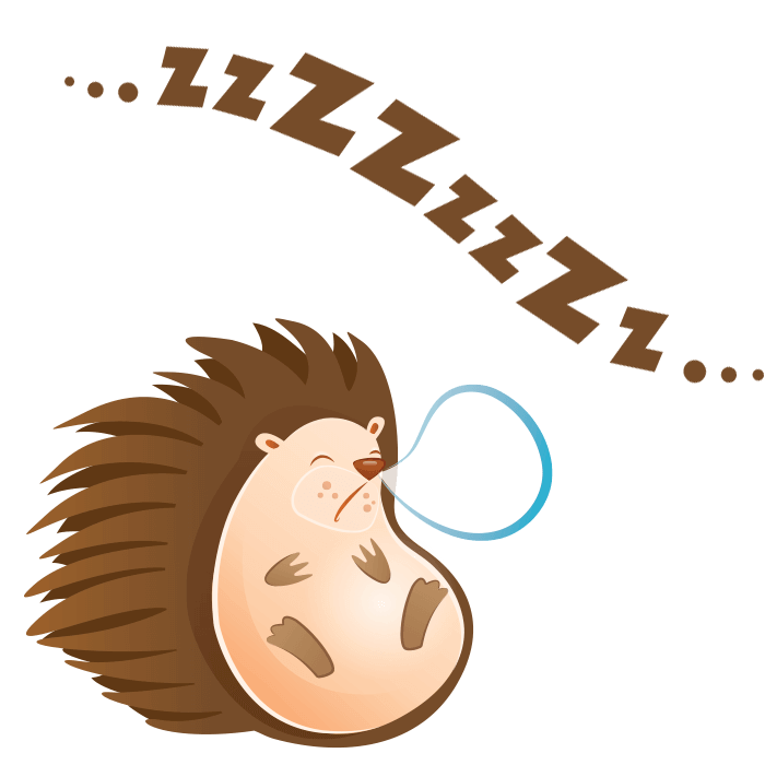 Clipart Sleeping Hedgehog - Clip Art (700x700)